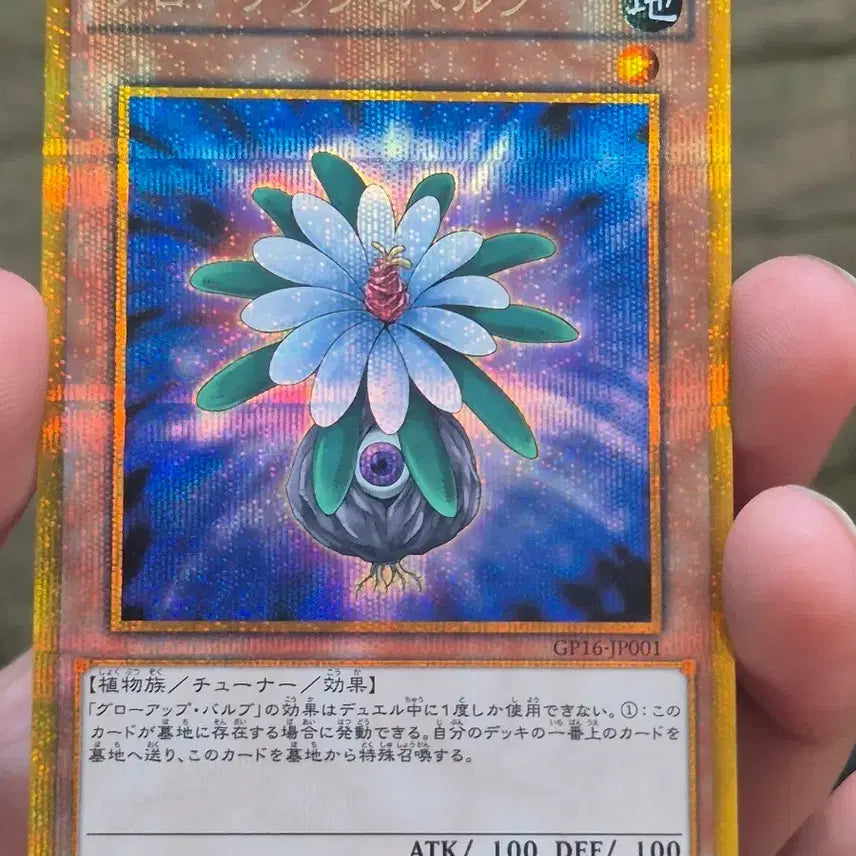 [BUNJANG] Yu-Gi-Oh! Grow Up Bulb Japanese Gold Secret Rare / 유희왕 그로우업 벌브 일판 골시크