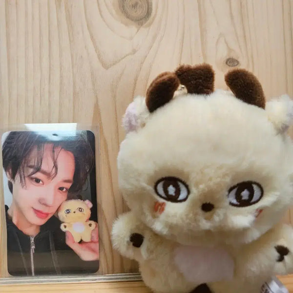 [BUNJANG] Park Ji-hoon 'Sosimi' Doll Photocard / 박지훈 소심이 인형 포카