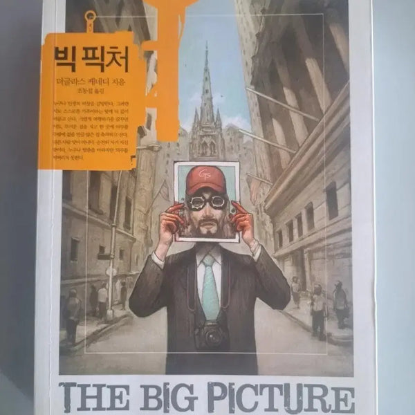 [BUNJANG] Single Volume Novel: Big Picture / 단권 소설책 빅피쳐
