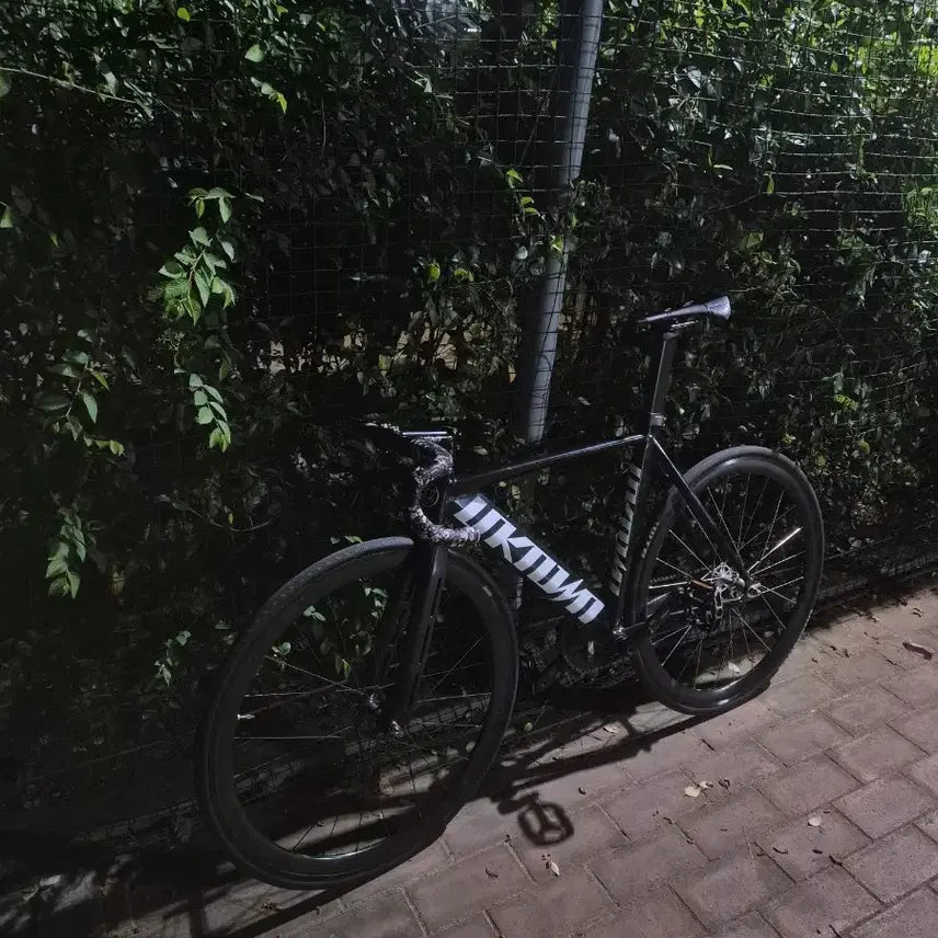 [BUNJANG] Unknown Singularity Custom Build Bicycle / 언노운 싱귤 판매만
