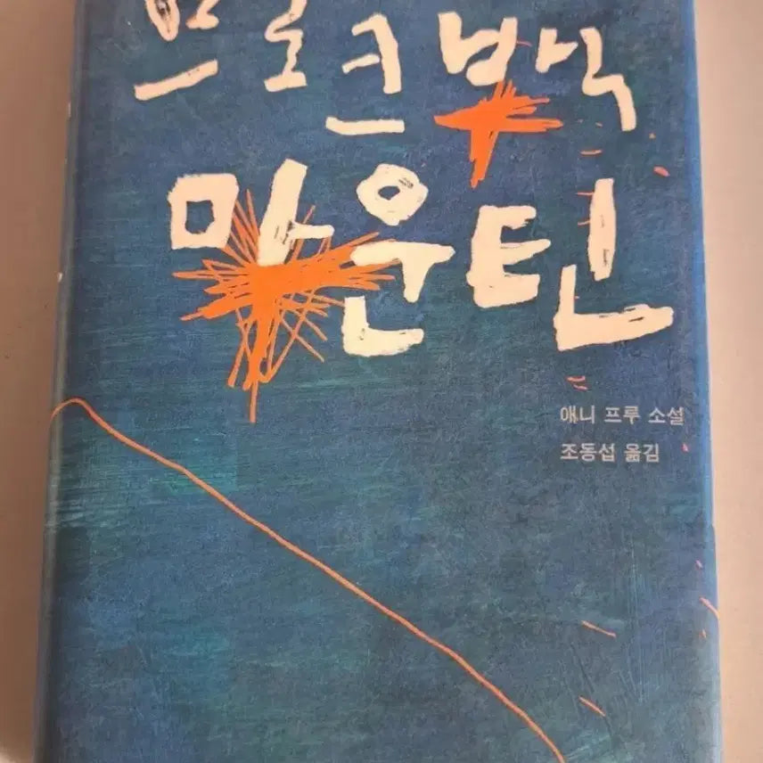 [BUNJANG] Broken Mountains Single Volume Novel / 소설책 단권 브로큰 백 마운틴