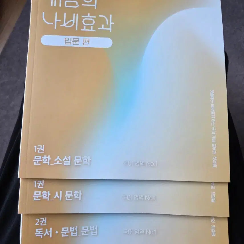 [BUNJANG] Yoon Hye-jung's The Butterfly Effect of Concepts: Introduction / 윤혜정의 개념의 나비효과 입문편