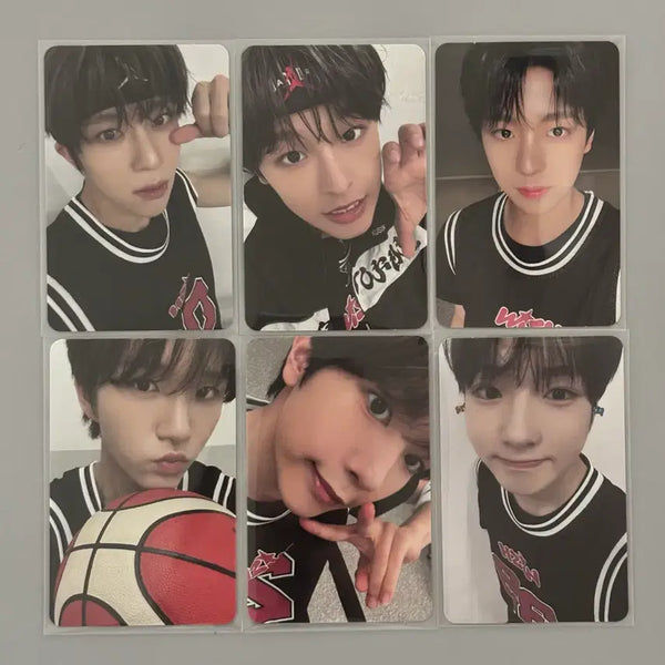 [BUNJANG] NCT WISH Steady QR Version Photocard Bundle Set / 엔시티위시 스테디 큐알 버전 포카 일괄 양도합니다!