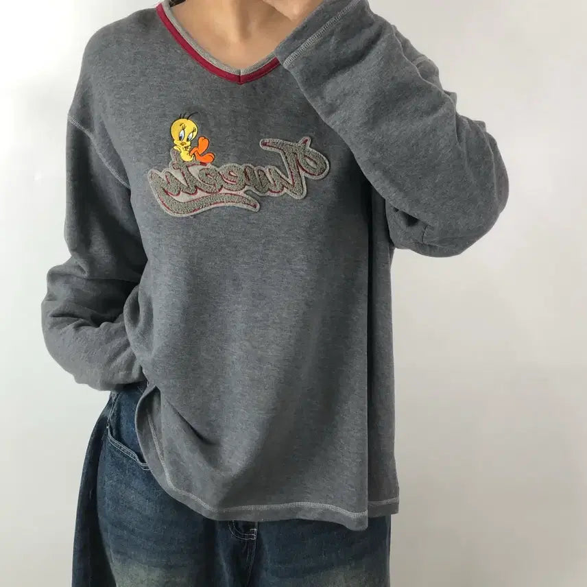 [BUNJANG] Warner Bros. Gray Sweatshirt / [L] 워너브라더스 그레이 맨투맨
