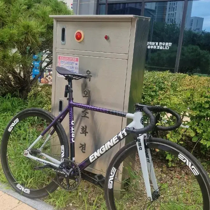 [BUNJANG] Eggplant CRIT-D Bicycle - Size 54 (M) / 에그플랜트 M사이즈 완차 판매
