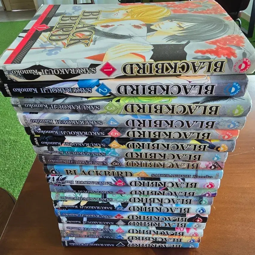 [BUNJANG] Black Bird Complete Manga Volume 18 / 블랙버드 18권 완결