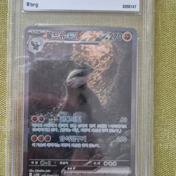 [BUNJANG] Pokemon Grading Card Mold-Ryu EX 171/086 / 포켓몬 등카 등급카드 몰드류ex 171/086