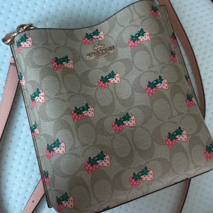 [BUNJANG] Coach Strawberry Print Molly Bucket Bag Women's / 코치 스트로베리 프린트 몰리 여성 버킷백