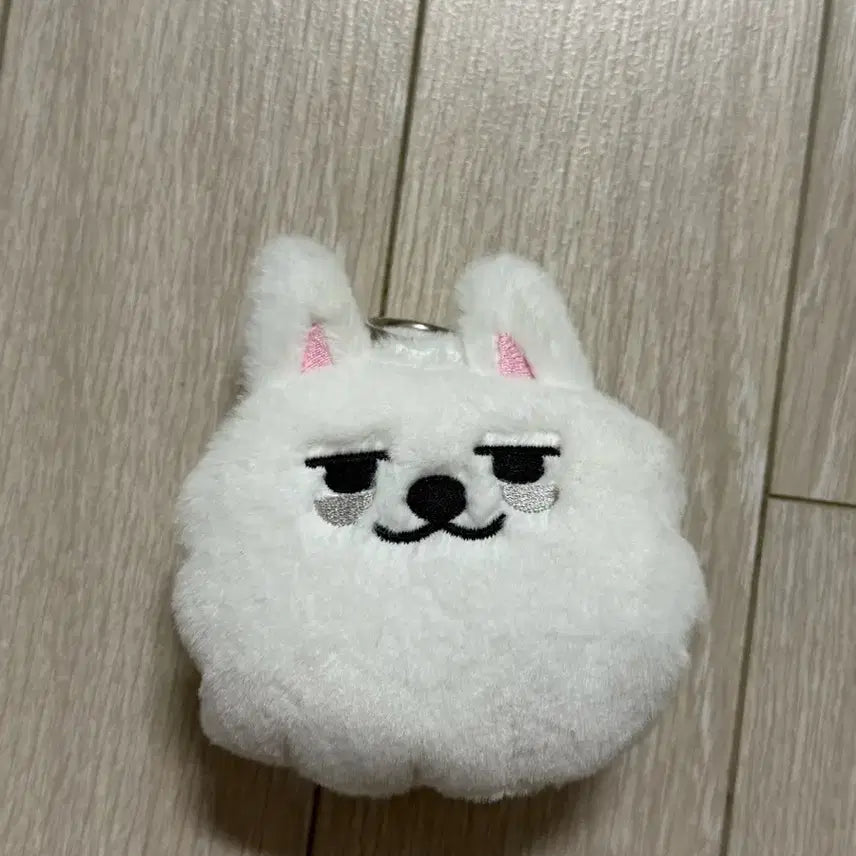 [BUNJANG] TXT Yeonjun Coin Pouch / 뿔바투 용멍 수빈 코인파우치 양도