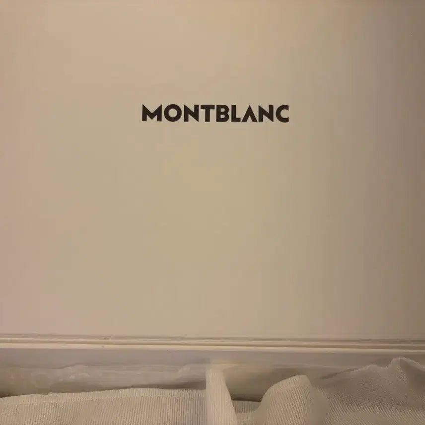 [BUNJANG] Montblanc Extreme Clutch / 몽블랑 익스트림 클러치 판매합니다