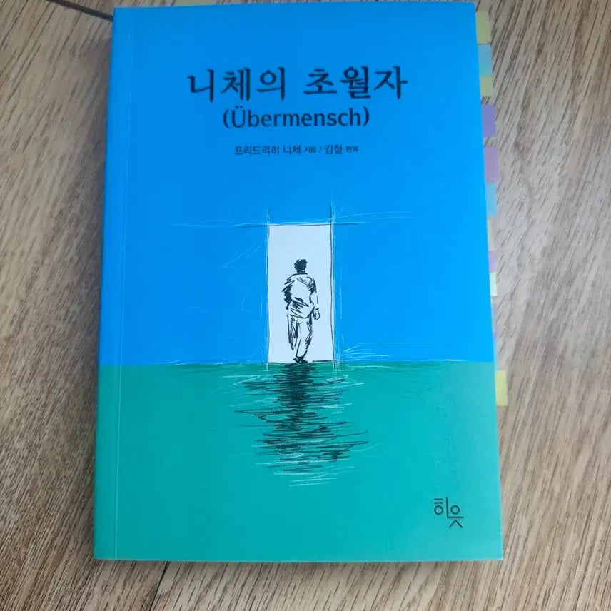 [BUNJANG] The Philosophy of the Transcendent by Nietzsche: Bestselling Book / 니체의 초월자 철학책 베스트셀러 도서 책