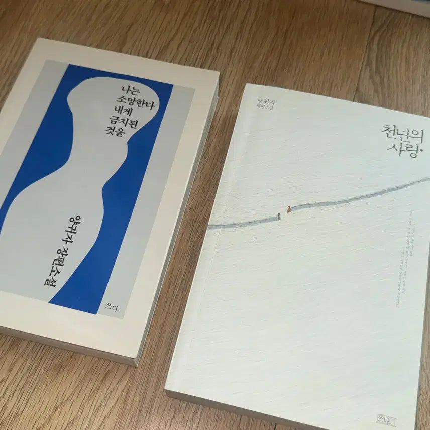 [BUNJANG] Yang Gui-ja Novel Set: "A Thousand Years of Love" + "I Wish for Myself What is Forbidden" / 양귀자 소설책 일괄 판매 천년의 사랑 + 나는 소망한다 내게 금지된 것을