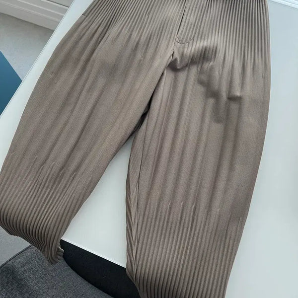 [BUNJANG] Issey Miyake Men Homme Plissé JF153 Beige/Brown Pants / [2] 이세이미야케맨 옴므플리세 jf153