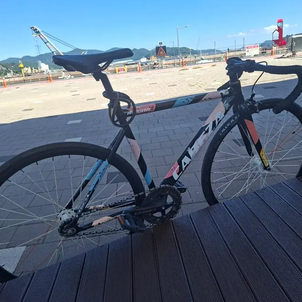 [BUNJANG] Contan Cabeza Classic Folding Bicycle / 콘탄 카베자 자접 급처