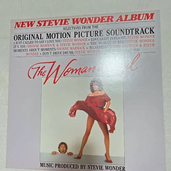 [BUNJANG] Stevie Wonder LP / 스티비원더 LP