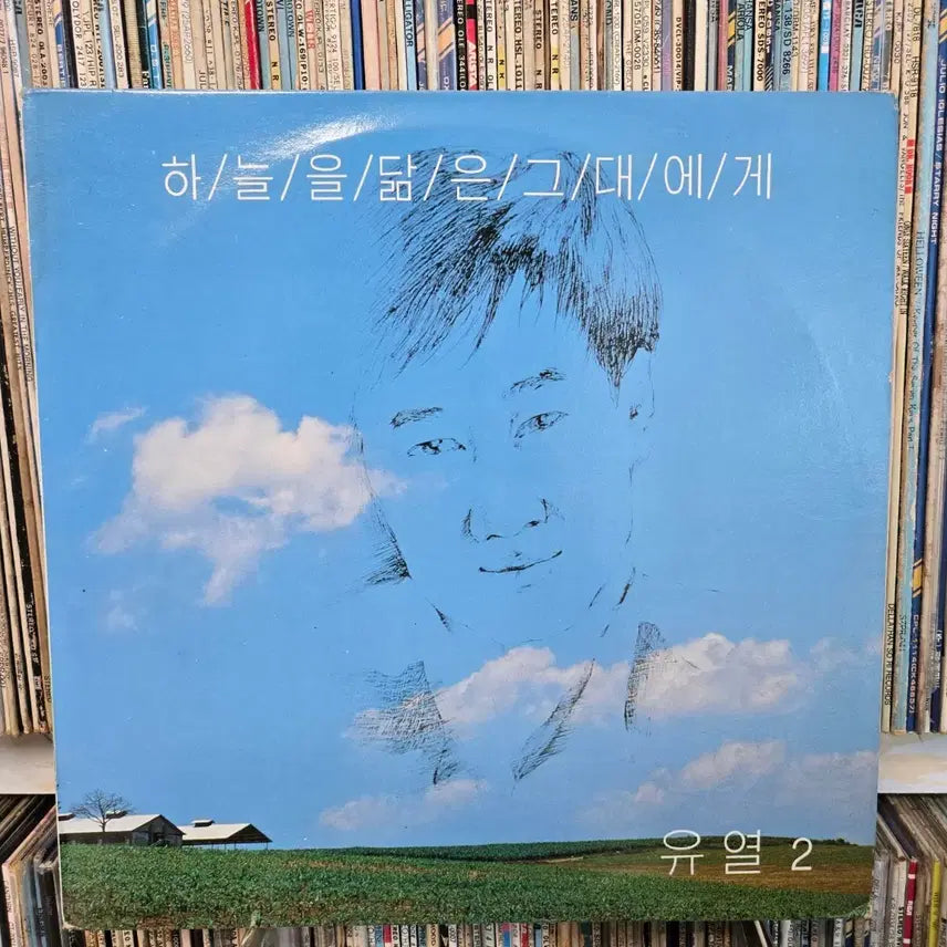 [BUNJANG] Yooieol 2 'To The One Who Resembles The Sky' LP Record / 유열 2 하늘을 닮은 그대에게 lp판