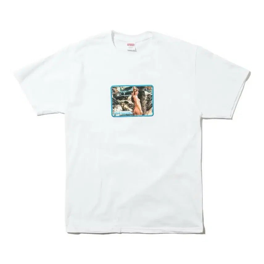 [BUNJANG] Supreme Larry Clark Girl Tee SS17 / 슈프림 래리 클락 걸 티 17ss