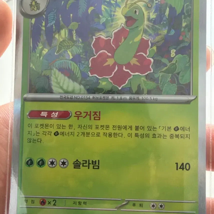 [BUNJANG] Meganium R Pokemon Card / 포켓몬카드 메가니움 R