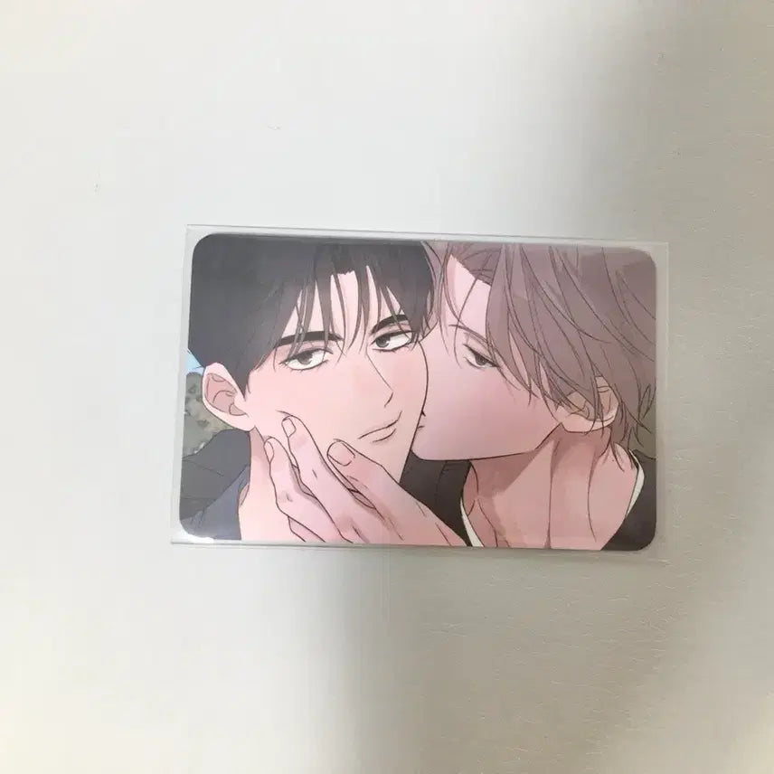 [BUNJANG] Salon de Bon Lebon Photocard Bundle Set 'Soft is the Night' / 살롱드르봉 레봄 포토카드 포카 구매특전 밤은 부드러워라