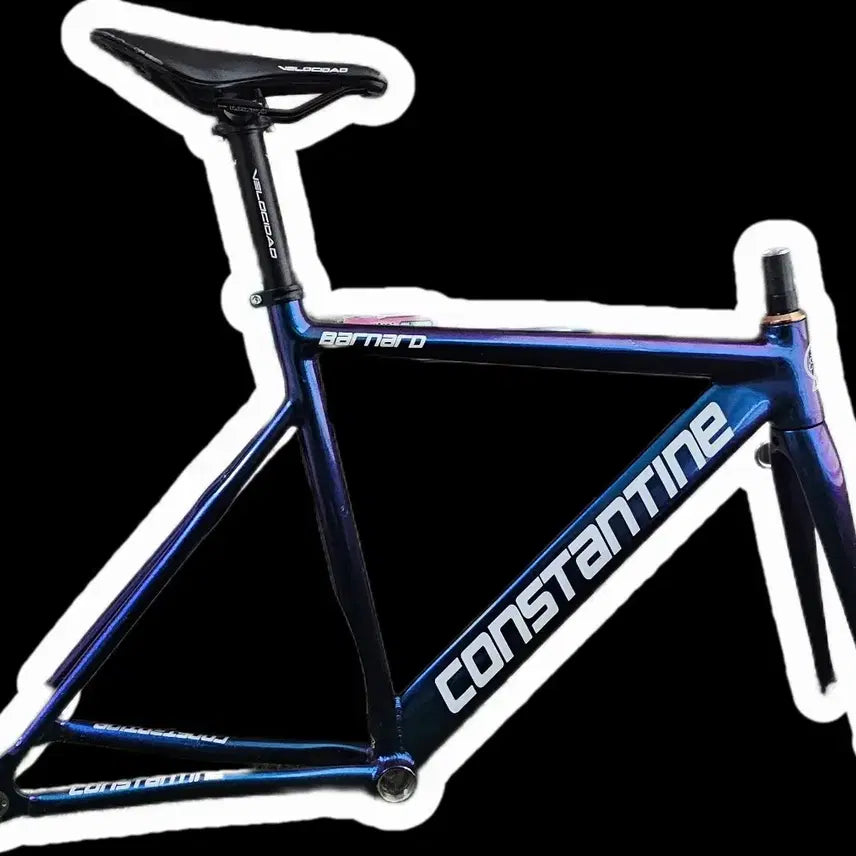 [BUNJANG] Bernard Chameleon Frameset / 버나드 카멜레온