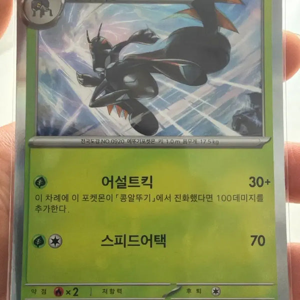 [BUNJANG] Pokemon Card EXeggutor R / 포켓몬카드 엑스레그 R