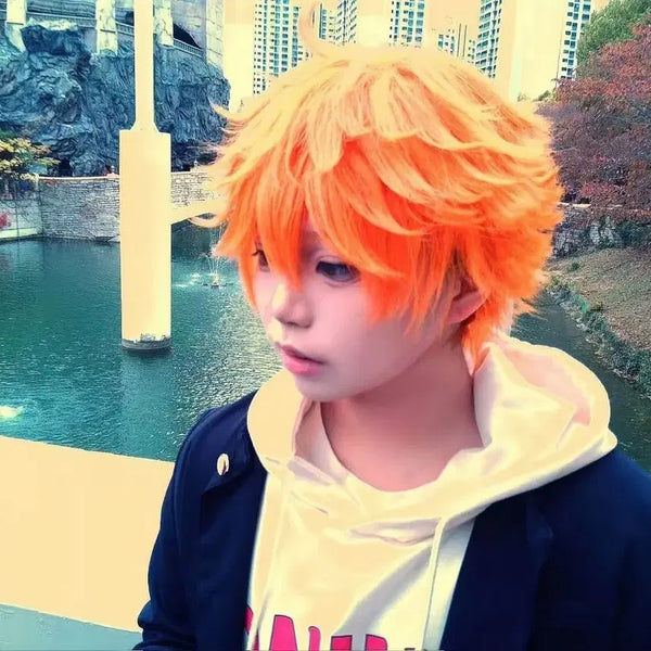 [BUNJANG] Haikyuu!! Shoyo Hinata Cosplay Wig / 하이큐 히나타 코스프레 가발