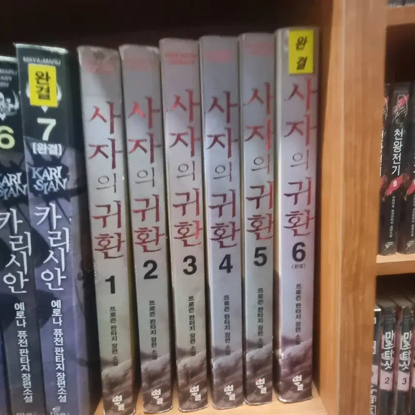 [BUNJANG] Lion's Return: Frozen Fantasy Novel Set (Volumes 1-6) / 사자의귀환 1-6 완 프로즌 판타지 소설