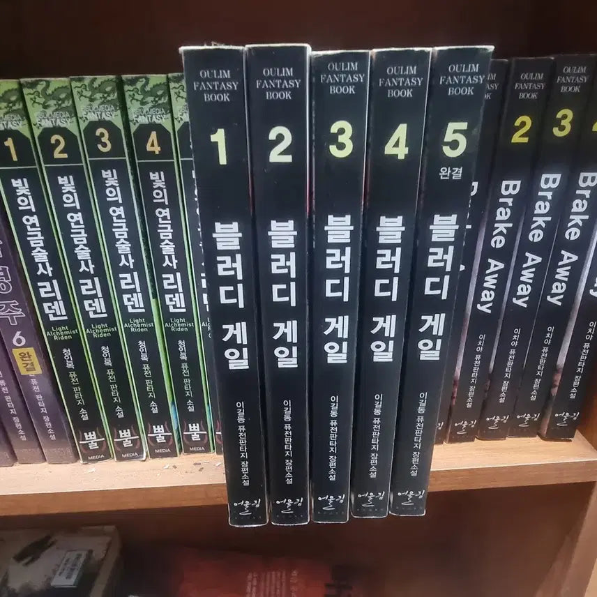 [BUNJANG] Bloody Gale Vol. 1-5 Fusion Fantasy Novel by Gil-dong Lee / 블러디게일 1-5 완 이길동 퓨전 판타지 소설