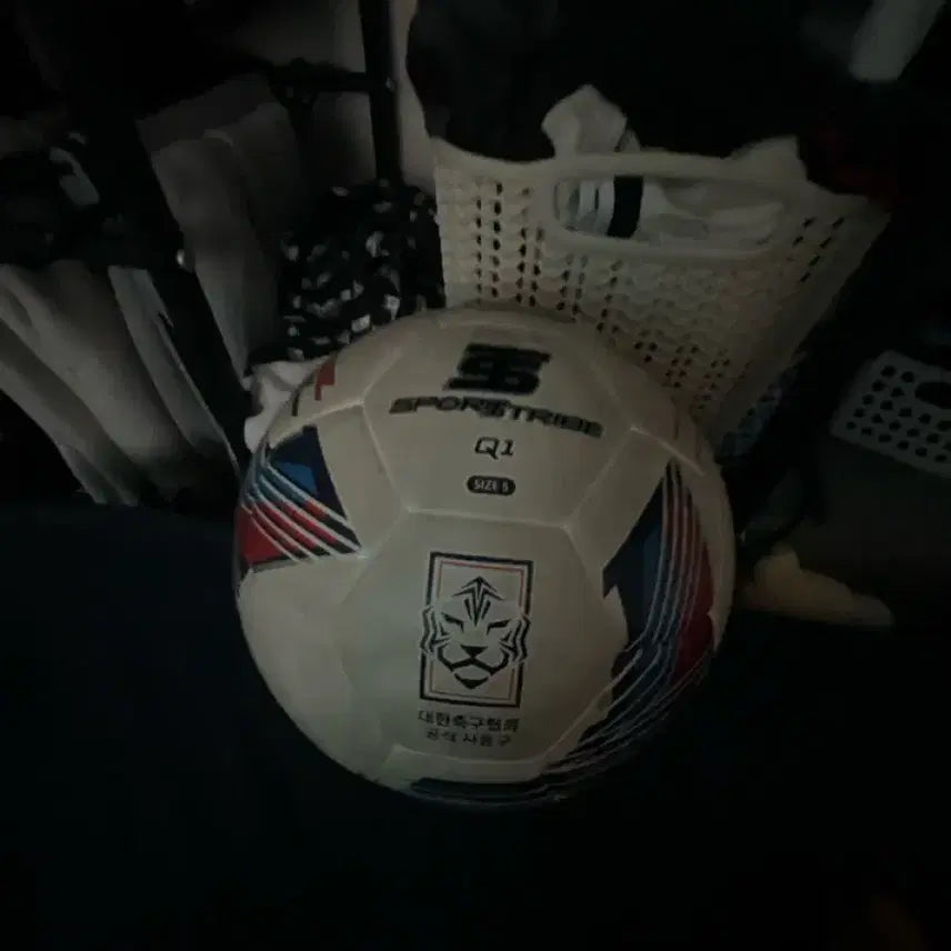 [BUNJANG] Sports Tribe Soccer Ball / 축구공
