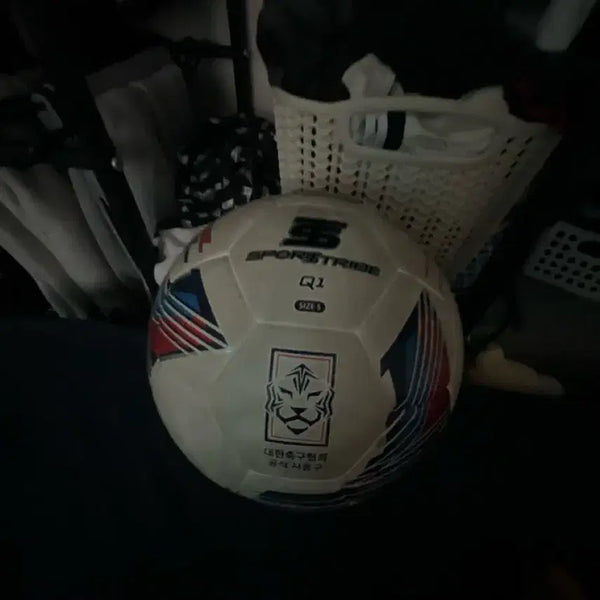 [BUNJANG] Sports Tribe Soccer Ball / 축구공