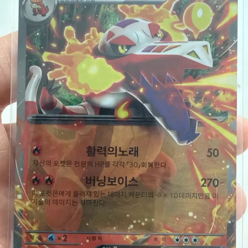 [BUNJANG] Pokemon Card Loudred ex RR / 포켓몬카드 라우드본 ex RR