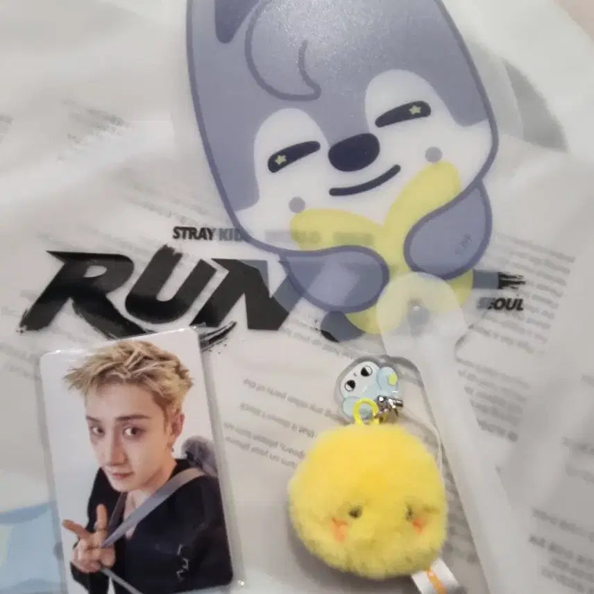 [BUNJANG] Stray Kids SKZ SKZOO Run It Seoul Entrance Kit Set / straykids run it seoul 입장키트  세트 양도 스트레이키즈 skz skzoo