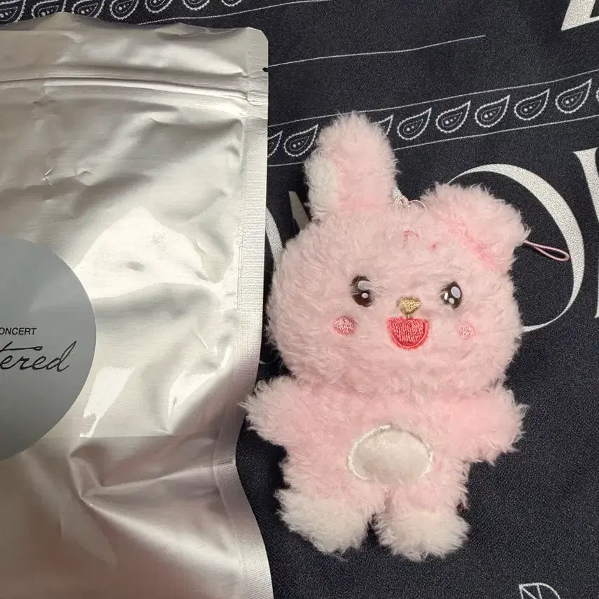 [BUNJANG] DAY6 Wonpil Unfiltered MD Chorongi Doll / 원필 언필터드 엠디 초롱이