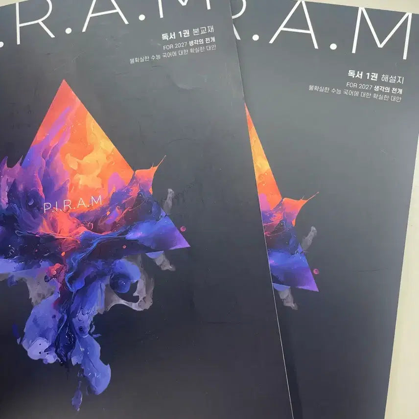 [BUNJANG] Piram Reading: The Development of Thought (Volume 1) / 피램 독서1권 생각의 전개