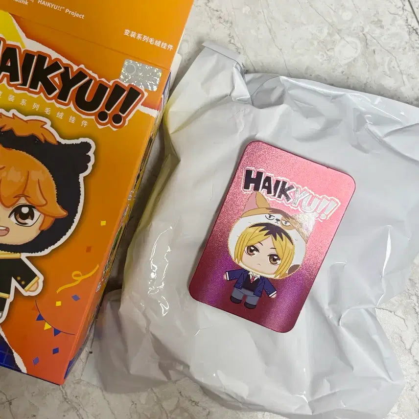 [BUNJANG] Haikyuu!! Eaki Labubu Kenma Mascot (Sealed) / 미개봉 하이큐 eaki 마스코트 라부부 켄마