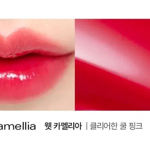 [BUNJANG] BBIA Water Lipstick Wet Camellia Tint Lip Balm / [미개봉] 삐아 워터 립스틱 웻 카멜리아 / 틴트 립밤