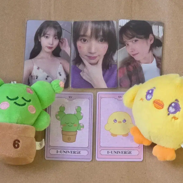 [BUNJANG] IU Fan Concert Photocard / 아이유 팬콘 역조공(반택포)