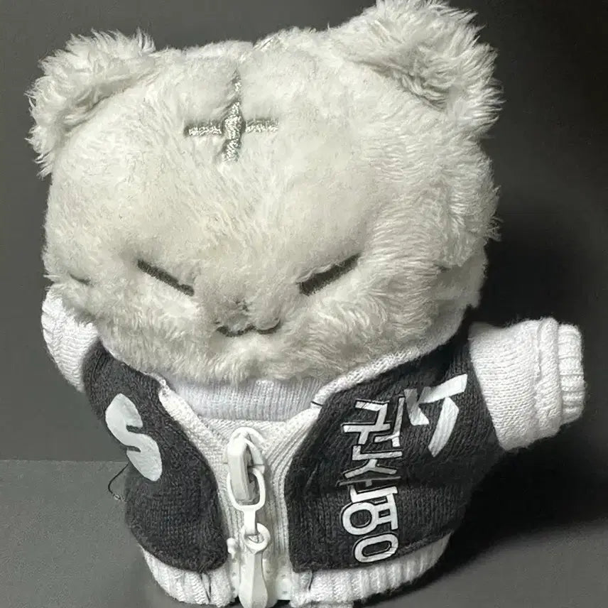 [BUNJANG] SEVENTEEN Hoshi Doll (Hoshi) / 세븐틴 호시 인형(호찌)