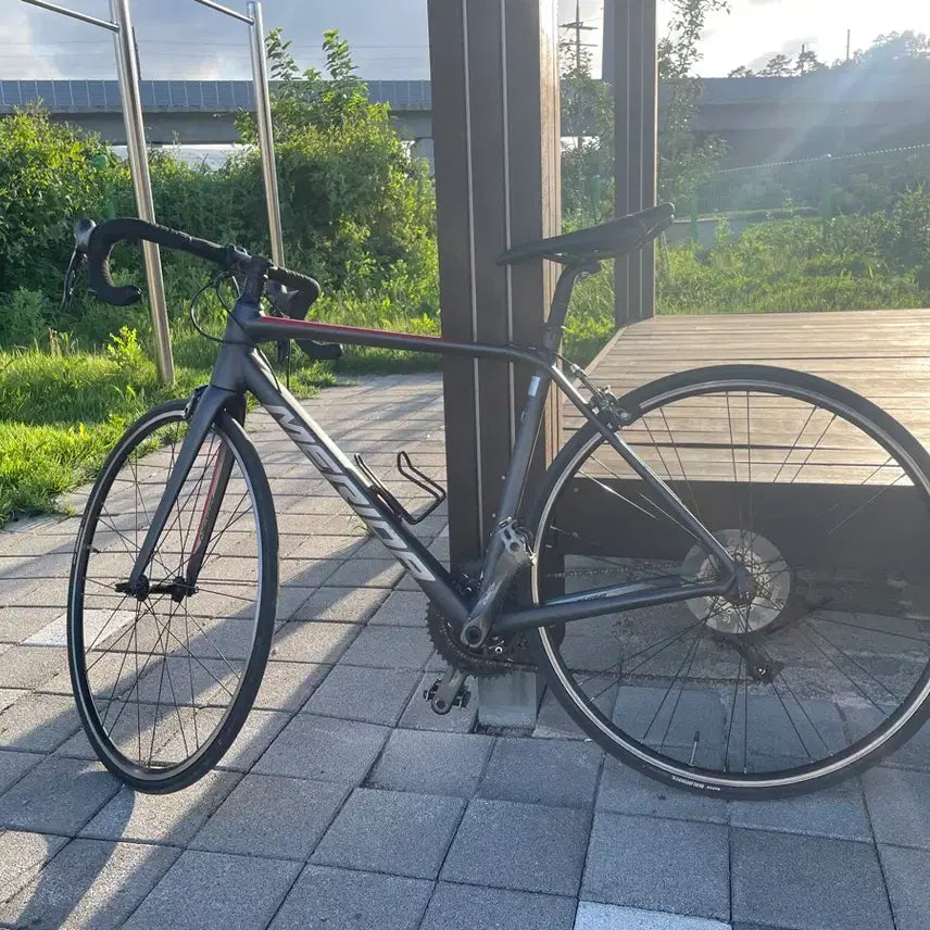 [BUNJANG] Scultura 100 Road Bike 2019 / 스컬트라100 로드 자전거 2019