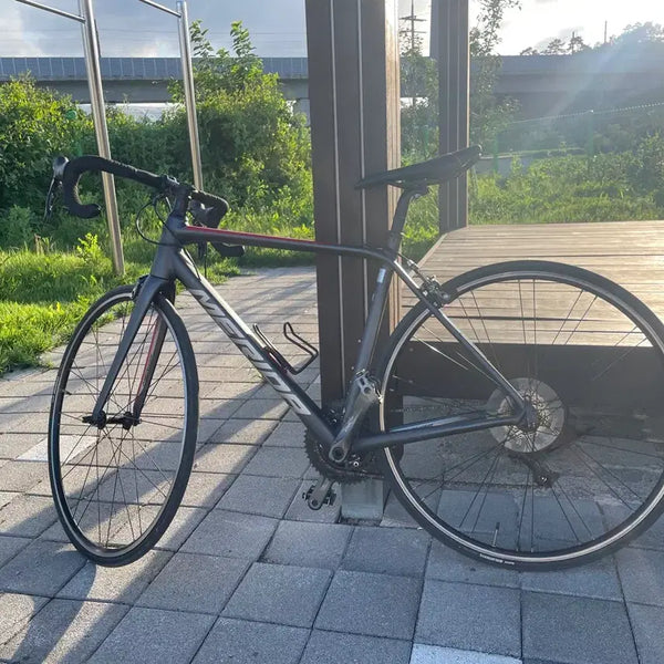 [BUNJANG] Scultura 100 Road Bike 2019 / 스컬트라100 로드 자전거 2019