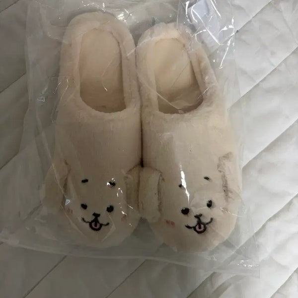 [BUNJANG] Dengt Room Shoes / 댕트 룸슈즈