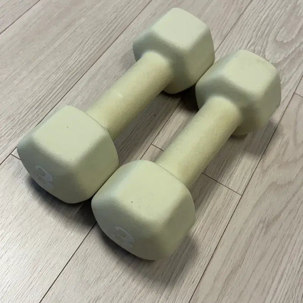 [BUNJANG] 3kg Dumbbell Set (2 units) / 3kg 덤벨 아령 2세트