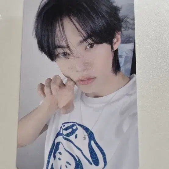 [BUNJANG] TWS Dohoon Sodasoda Pop-Up Photocard / 투어스 도훈 소다소다팝업 트레카