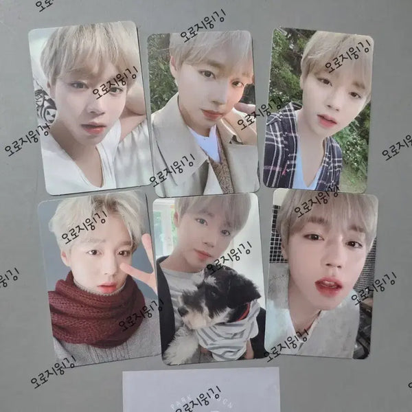 [BUNJANG] Park Ji Hoon 2020 Season's Greetings Photocard Bundle Set / 박지훈 2020 시그 포카