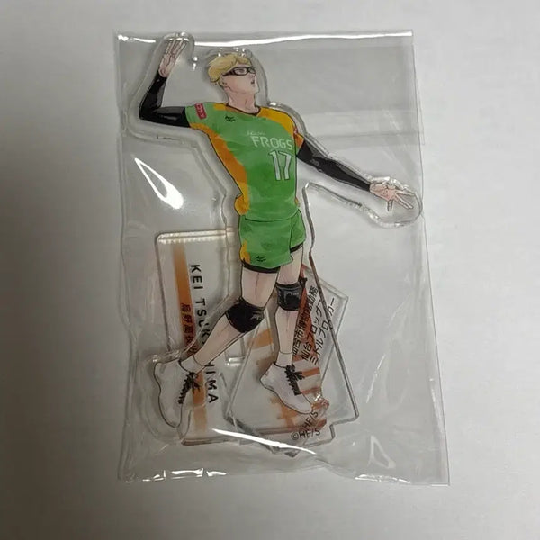 [BUNJANG] Haikyu!! Tsukishima Acrylic Standee / 하이큐 크로니클 츠키시마 아크릴
