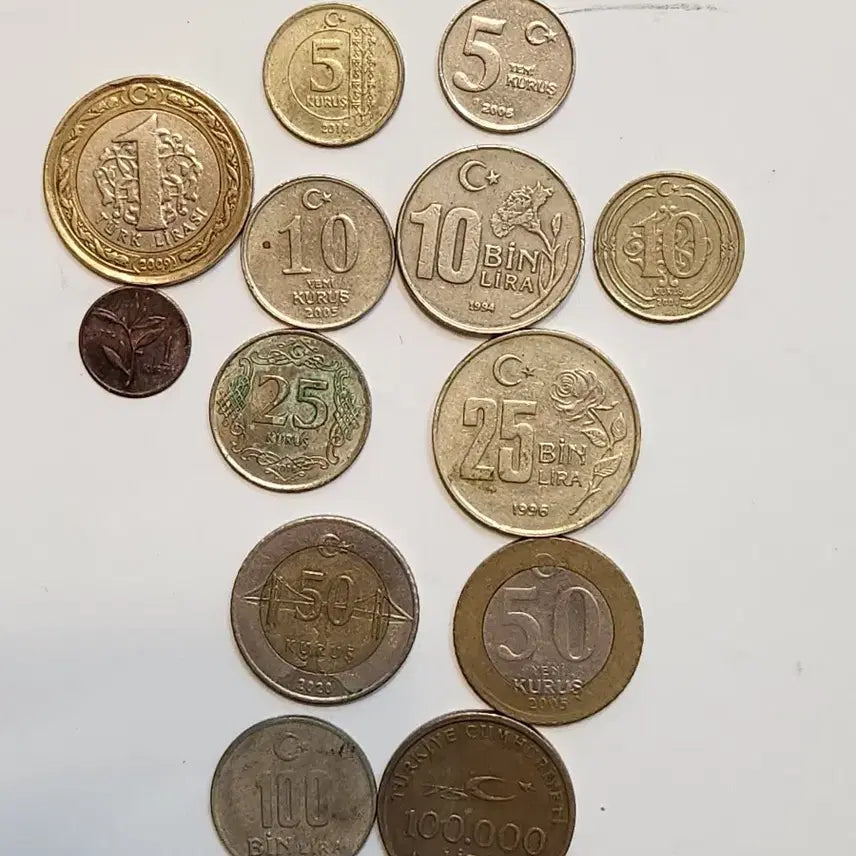 [BUNJANG] Turkey 13 Coin Bundle (Includes 1 Kurus) / 옛날동전, 튀르키예, 터키 13점 일괄 (1쿠루슈 포함)