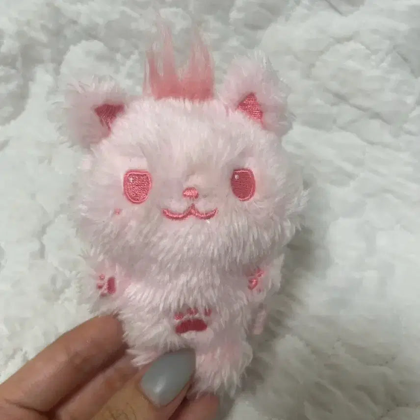 [BUNJANG] Color Wish Doll Pink SIONING / 컬러위시돌 핑크 시오닝