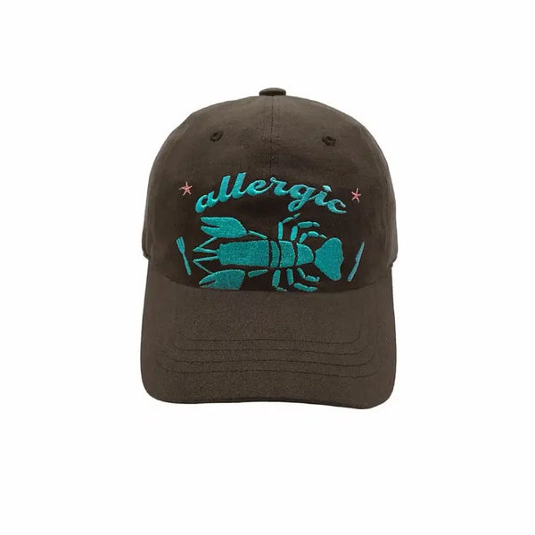[BUNJANG] Allergic Ball Cap Brown / 알러직 볼캡 브라운