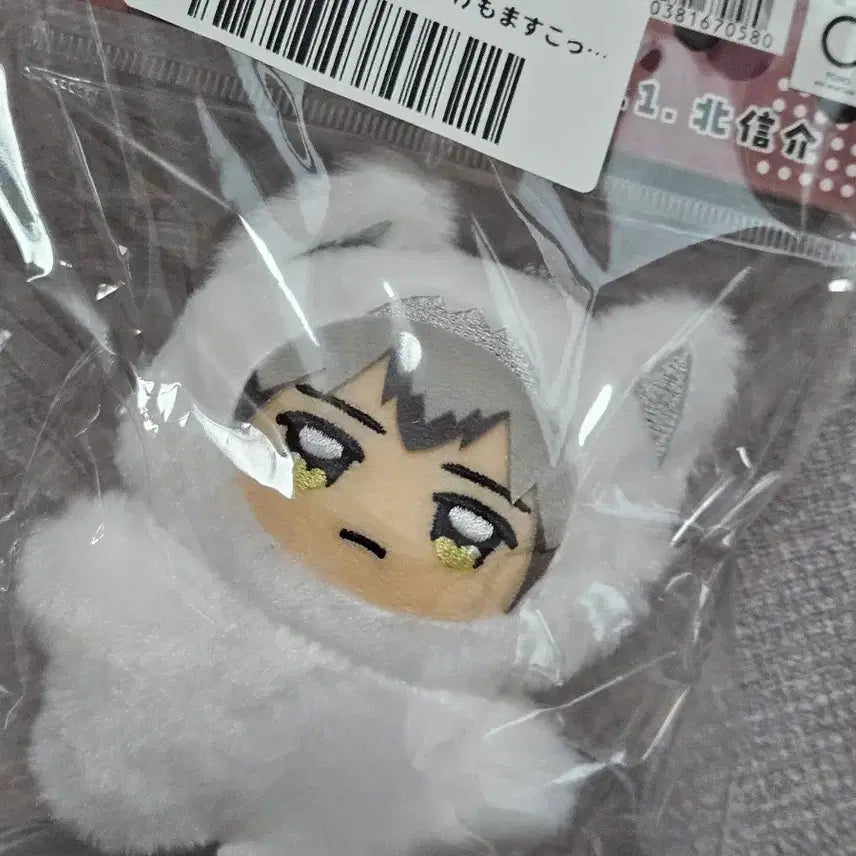 [BUNJANG] Haikyuu Shinsuke Kita Chimikemo & Unofficial Plush / 하이큐 키타 신스케 치미케모, 비공식 누이