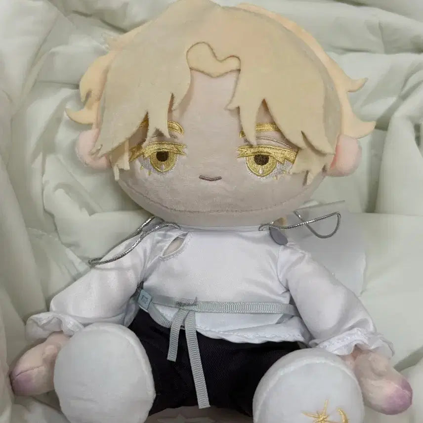[BUNJANG] A-Stage Luca Doll / 급처)에이스테 루카 인형